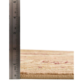 Oriental Area Rug, 10'6" x 16'5" in Brown