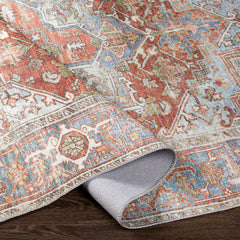 Oriental Area Rug 8'10" x 12' in Blue, Green, Brown and Red