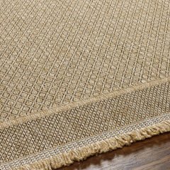 Outdoor Area Rug, 6'7" x 9', Tan Polypropylene with Fringe