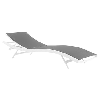 Outdoor Chaise Lounge Chair with Powder-Coated Aluminum Frame, Gray