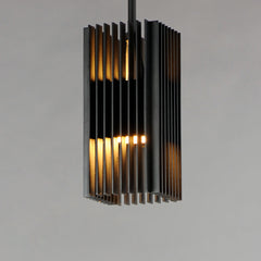 Outdoor Pendant Light with 2 Integrated LEDs in Matte Black Metal