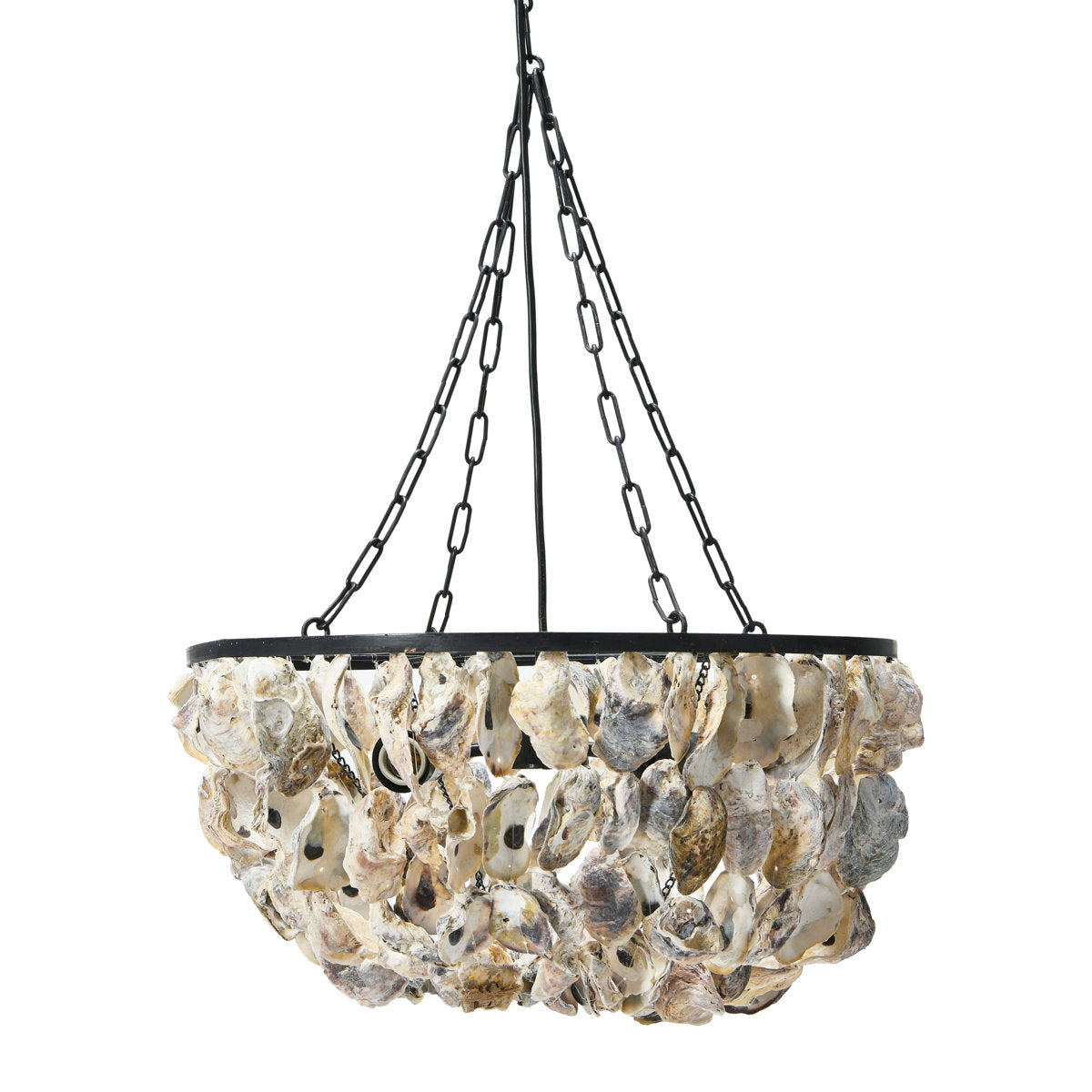 Oyster Shell Chandelier, 2 Lights, Matte Black Metal with Beige Shells