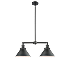 Pendant Light with 2 Lights in Matte Black Metal