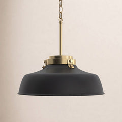Pendant Light with Dome Shade in Matte Black