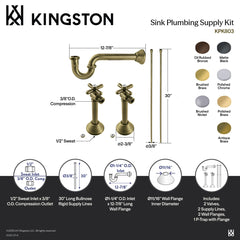 Plumbing Supply Kit, Trimscape, P-Trap and Angle Stops in Polished Brass