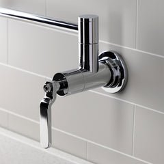 Pot Filler Faucet, Sona, Two-Handle Wall Mount in Polished Chrome