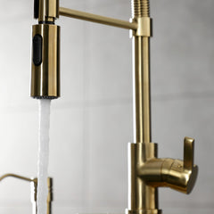 Pre-Rinse Kitchen Faucet, Continental, Single Handle in Brushed Brass