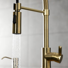 Pre-Rinse Kitchen Faucet, Continental, Single Handle in Brushed Brass