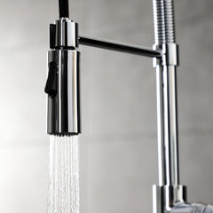 Pre-Rinse Kitchen Faucet, Sona, Single-Handle 1-Hole in Polished Chrome