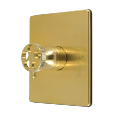 Pressure Balance Shower Valve and Trim Set, Webb, Single Handle in Brushed Brass