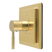 Pressure Balanced Shower Valve and Trim Set, Concord, Single Handle in Brushed Brass