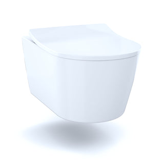 Wall Hung Toilet, RP, Dual-Flush, D-Shape Bowl, Vitreous China, Matte Silver