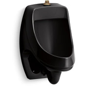 Washdown Urinal, Dexter, Wall Mount, 0.13 GPF, Ceramic