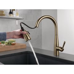 Pull Down Kitchen Faucet, Essa, Single Handle, Zinc, Champagne Bronze