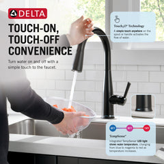 Pull Down Kitchen Faucet, Essa, Single Handle, Touch2O, Matte Black