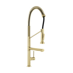 Pull-Down Kitchen Faucet, Nouvet, Single Handle with Pot Filler in Brushed Gold