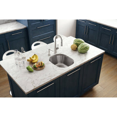 Pull-Down Kitchen Faucet, Single Handle, Gooseneck, Stainless Steel