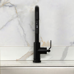 Pull-Down Kitchen Faucet, Whitaker, Single Handle in Matte Black