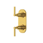 Product view | Thermostatic Shower Control Plate with Diverter, Unlacquered Brass manufacturer product photograph