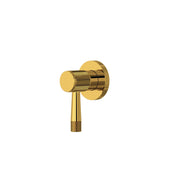 Unlacquered Brass Volume Control and Diverter Shower Valve Trim