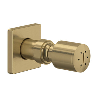 Antique Gold Single-Function Shower Jet Body Spray