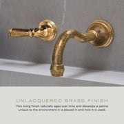 Product view | Unlacquered Brass Wall-Mounted Bathroom Sink Faucet Trim manufacturer specification drawing with dimensions