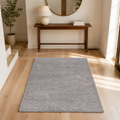 Entryway | the rug shown in an entryway