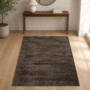Entryway | the rug shown in an entryway