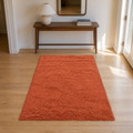 Entryway | the rug shown in an entryway