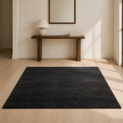 Entryway | the rug shown in an entryway