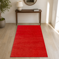 Entryway | the rug shown in an entryway
