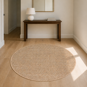 Entryway | the rug shown in an entryway