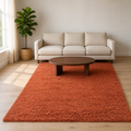 Living room | the rug shown in a living room
