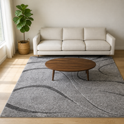 Living room | the rug shown in a living room