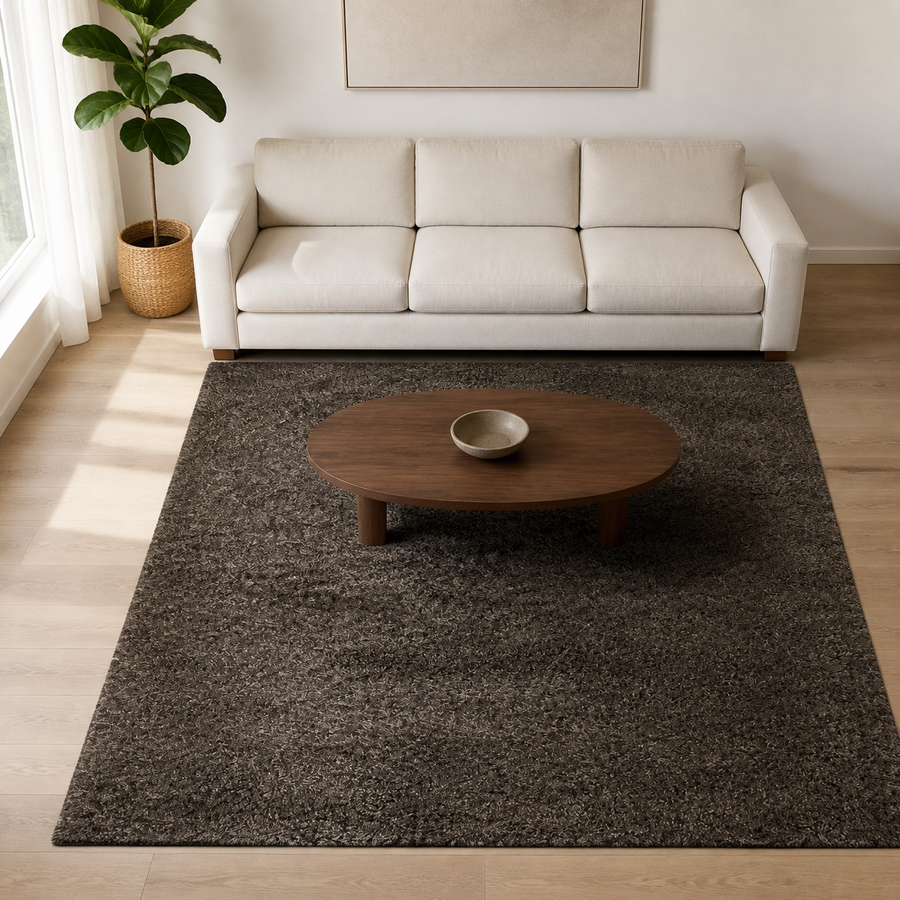 Living room | the rug shown in a living room