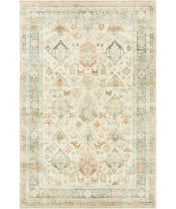 Bremhaus Aeron Oriental Area Rug
