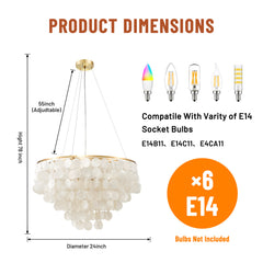 Seashell Chandelier with 6 Lights in Gold