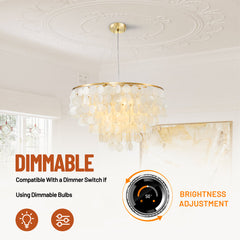 Seashell Chandelier with 6 Lights in Gold