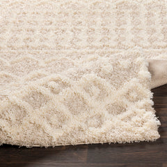 Shag Area Rug, 94.49 x 122.05 in, Cream/Beige