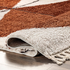 Shag Area Rug, 7'10" x 10'8" with Ivory/Rust