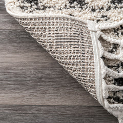 Shag Area Rug, 7 ft 10 in x 10 ft, Polypropylene with Tasseled Edges