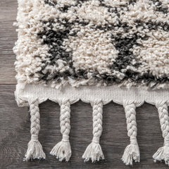 Shag Area Rug, 7 ft 10 in x 10 ft, Polypropylene with Tasseled Edges