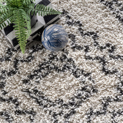 Shag Area Rug, 7 ft 10 in x 10 ft, Polypropylene with Tasseled Edges