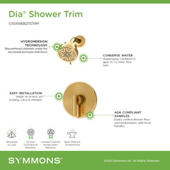 Shower Trim, Dia, HydroMersion, Single Handle, Wall Mount, Bronze