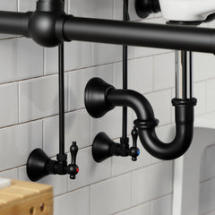 Sink Plumbing Trim Kit, Trimscape with P-Trap in Matte Black