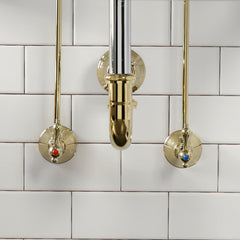 Sink Trim Kit, Trimscape with P-Trap in Polished Brass