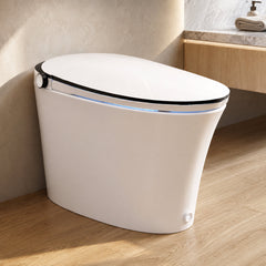 Smart Bidet Toilet, Tankless, Elongated, Heated Seat, White