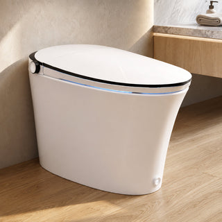 Smart Bidet Toilet, Tankless, Elongated, Heated Seat, White