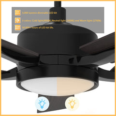 Smart Ceiling Fan, 56 Inch, Black with Plywood Blades