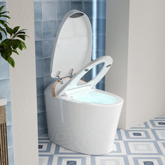 Smart Toilet, Elongated, Heated Seat, Dryer, Foot and Remote Flush, White
